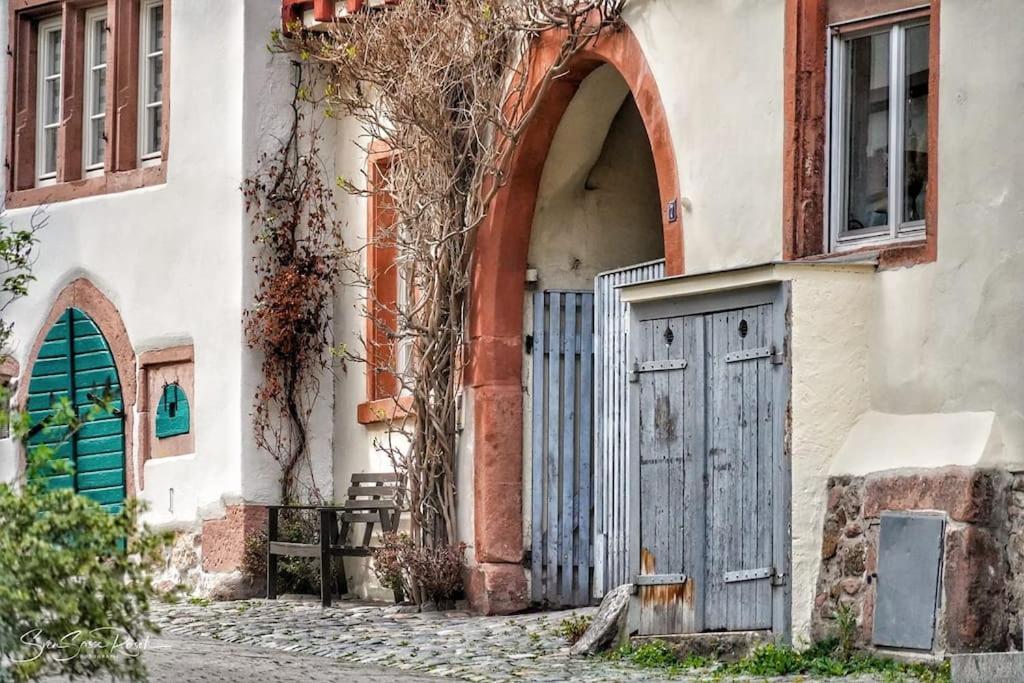 Ferienwohnung Zwischen Weinheim Und Hemsbach Esterno foto